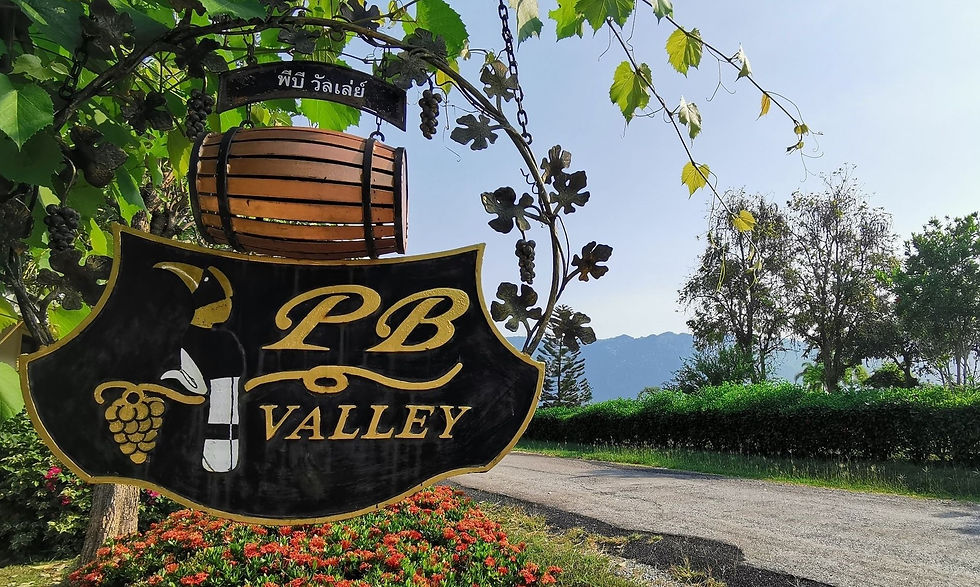 <a href="URL">PB Valley Khao Yai Winery</a