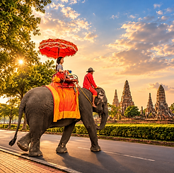 Golden Elephant Ride at Ayutthaya Sunset.png