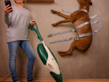 Die moderne Hausfrau von heute