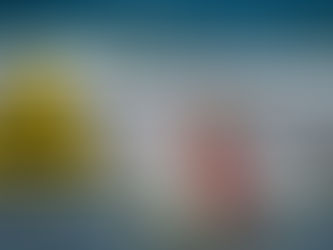 Gefahren für den Hund (Part 2)