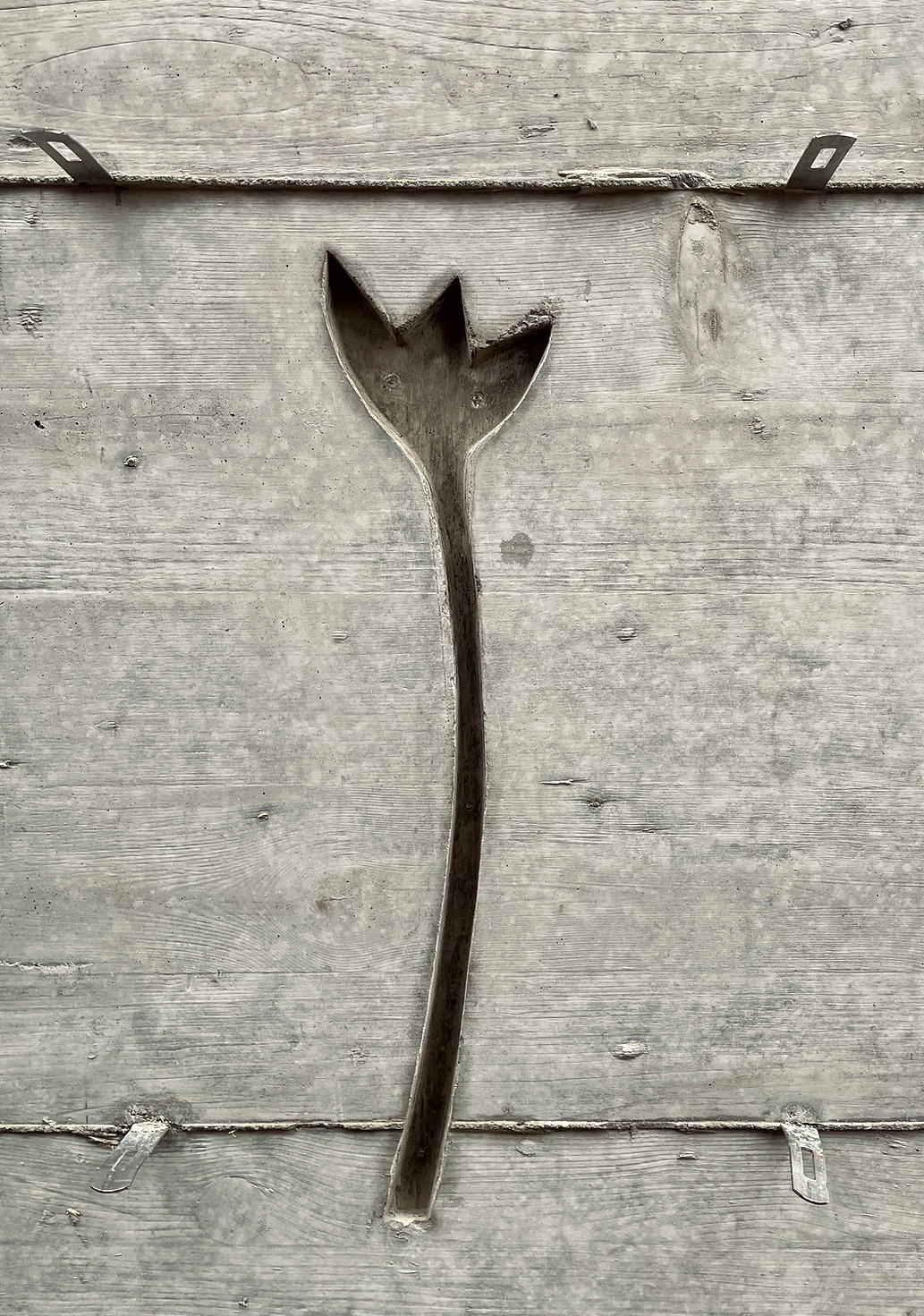 F29_BETONBLUME.JPG