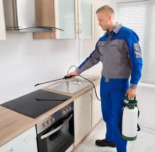pest control Glendale 2025