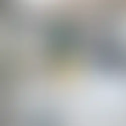 flying termites in home burbank