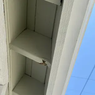 termite prevention Burbank