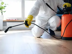 Second Opinion Termite Inspection: Why Homeowners Who've Been Surprised Before Call Termike