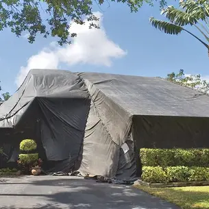 Spot vs Tent Fumigation
