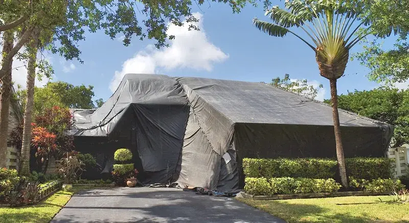 Spot vs Tent Fumigation