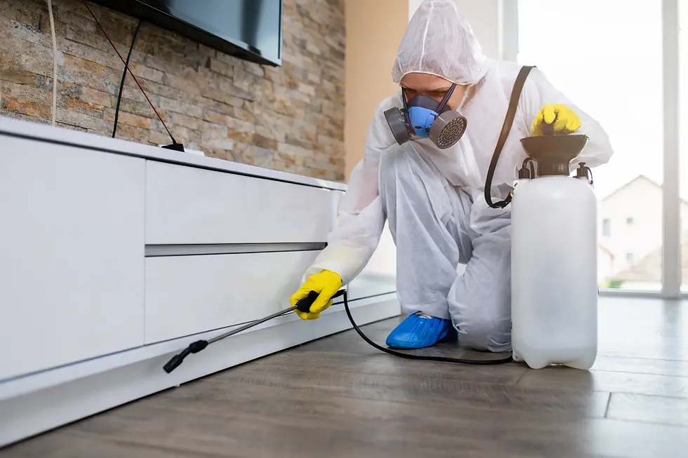 What to Expect on Your First Pest Control Visit with Termike (Step-by-Step Guide)