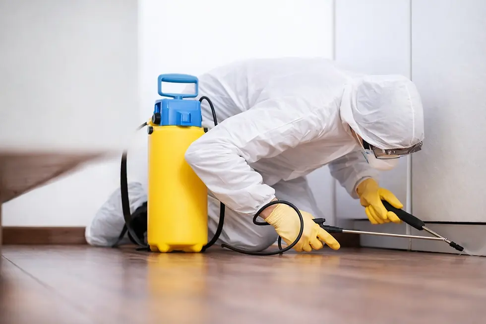 moving back in after termite fumigation