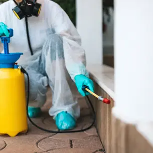 Termite Treatment in Hawthorne, CA: Options, Cost & What to Expect