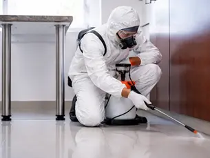 How Much Does Termite Treatment Cost in Southern California? (2026 Pricing Guide)