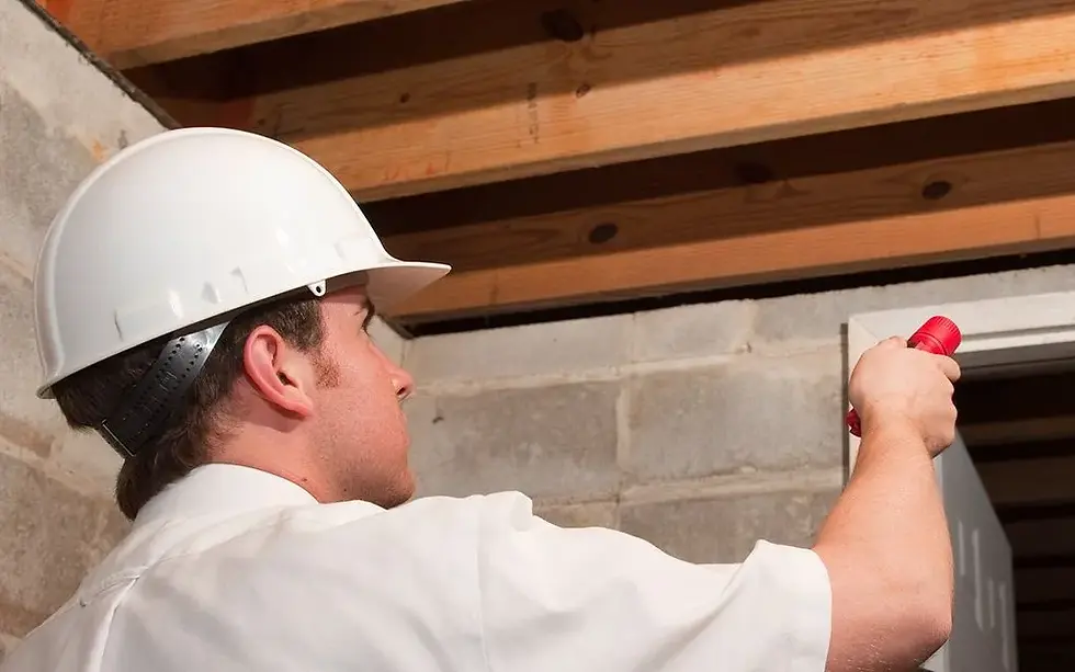 termite inspection long beach ca