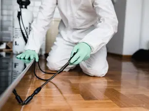 Your Termite Clearance Letter Expired Mid-Escrow — Here’s How to Fix It Fast