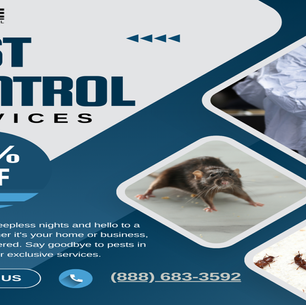 Fullerton's Top 5 Signs You Need Termite control in Fullerton Now