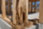 termites in new construction