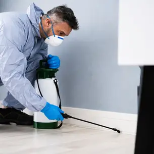 Does a Home Warranty Cover Termites? What SoCal Homeowners Need to Know Before They Rely on It