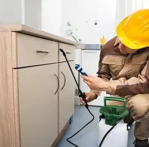 Pest control Glendale and Burbank