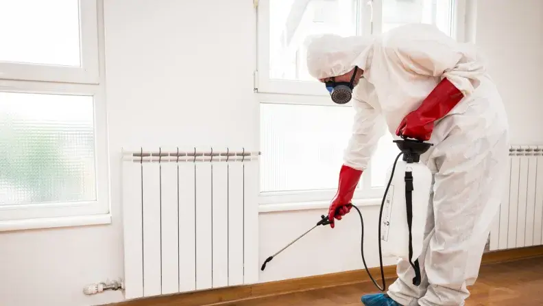 termite myths Burbank realtors