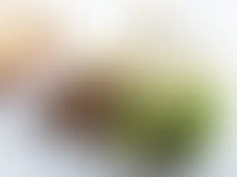 kebab near me irvine