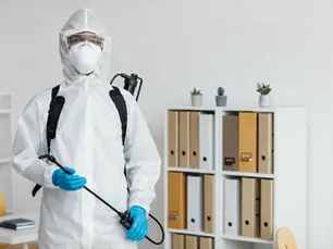 Is a 3-Year Termite Warranty Worth It? What Termike's Plan Actually Covers