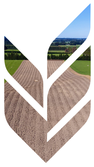 Edit the uploaded lo.png