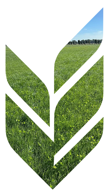 Edit the uploaded lo.png