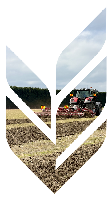 Edit the uploaded lo.png