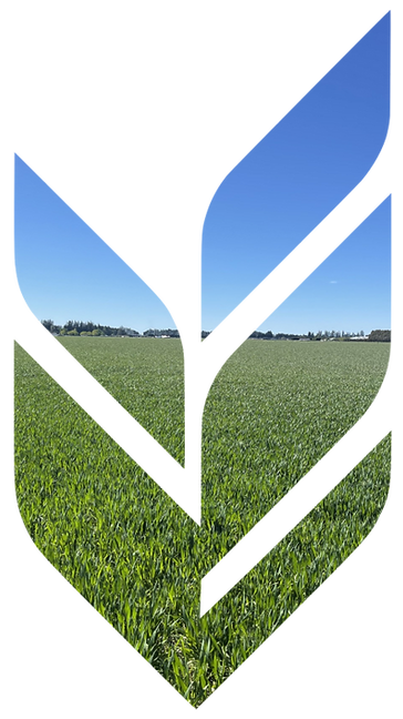 Edit the uploaded lo.png