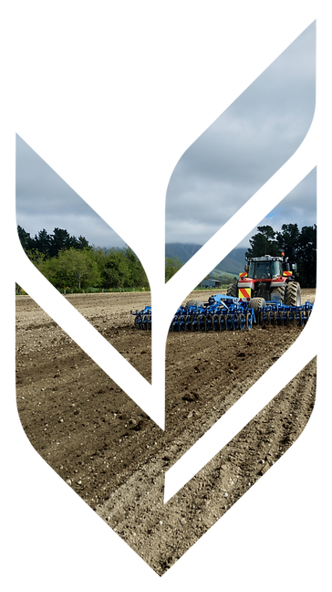 Edit the uploaded lo.png