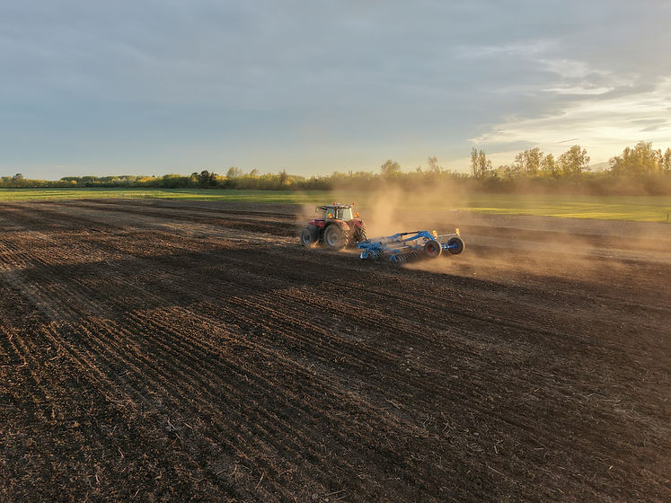 DJI_20251017193419_0070_D (1) (1).jpg