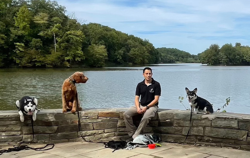 OffLeash Training Paw by Paw Dog Training