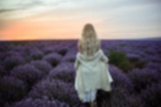 AdobeStock_190263460.jpeg