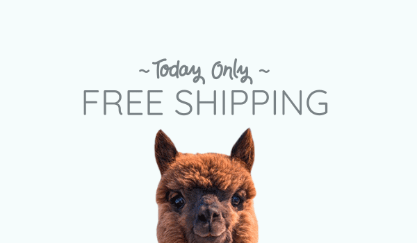FreeShipping.gif