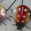 Miniature : Coccinelles à planter