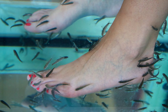 fish magic-stock.jpg