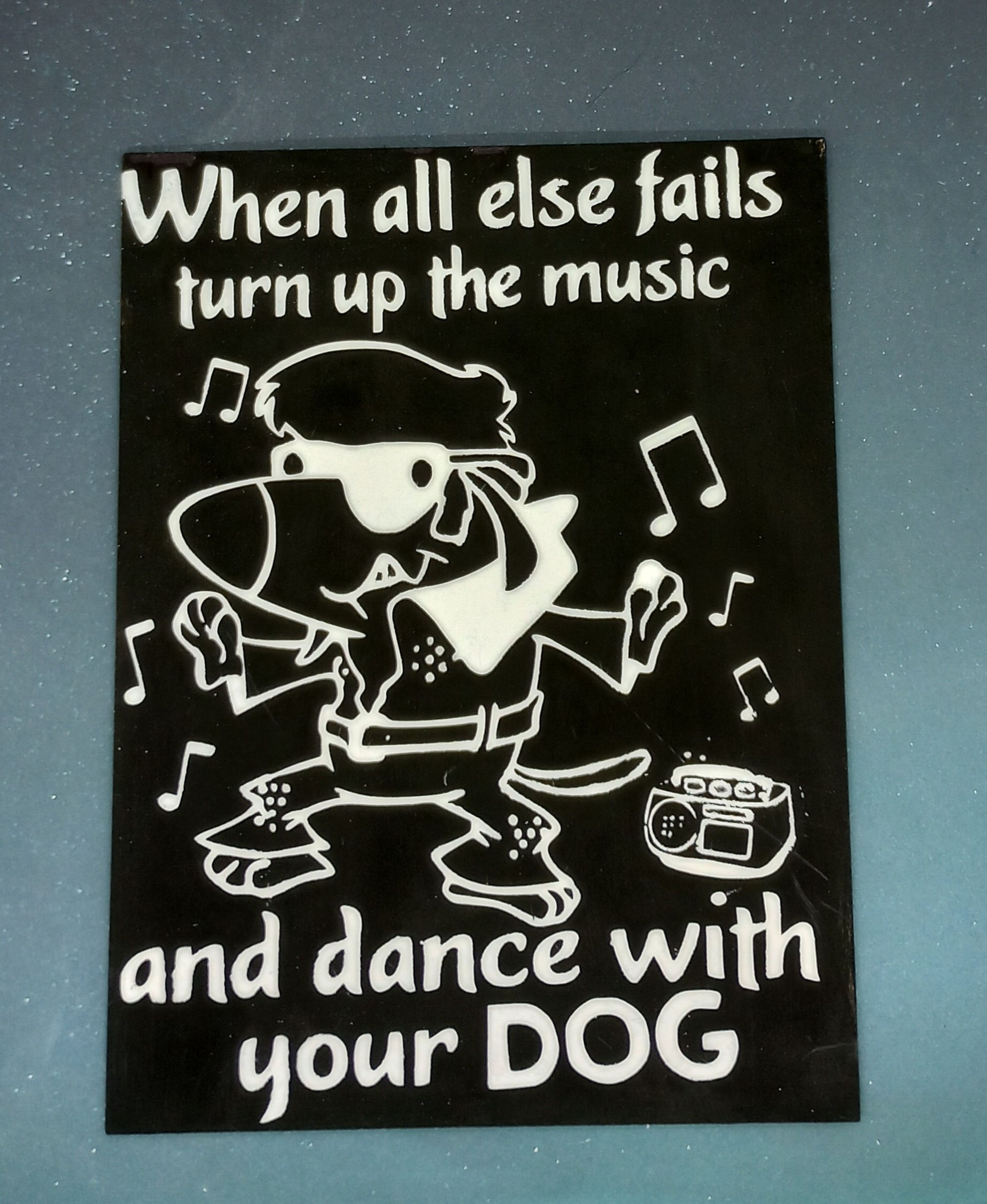 When all else fails turn up the music and dance with your dog -Elvis