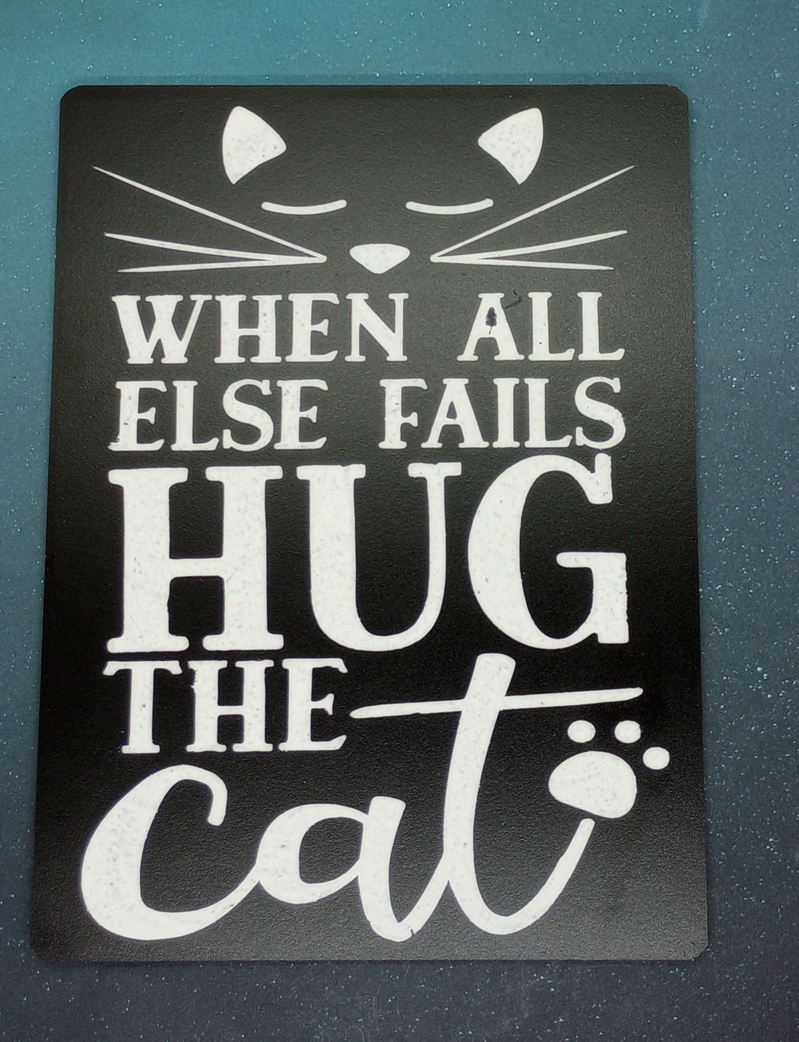 When all else fails Hug the Cat