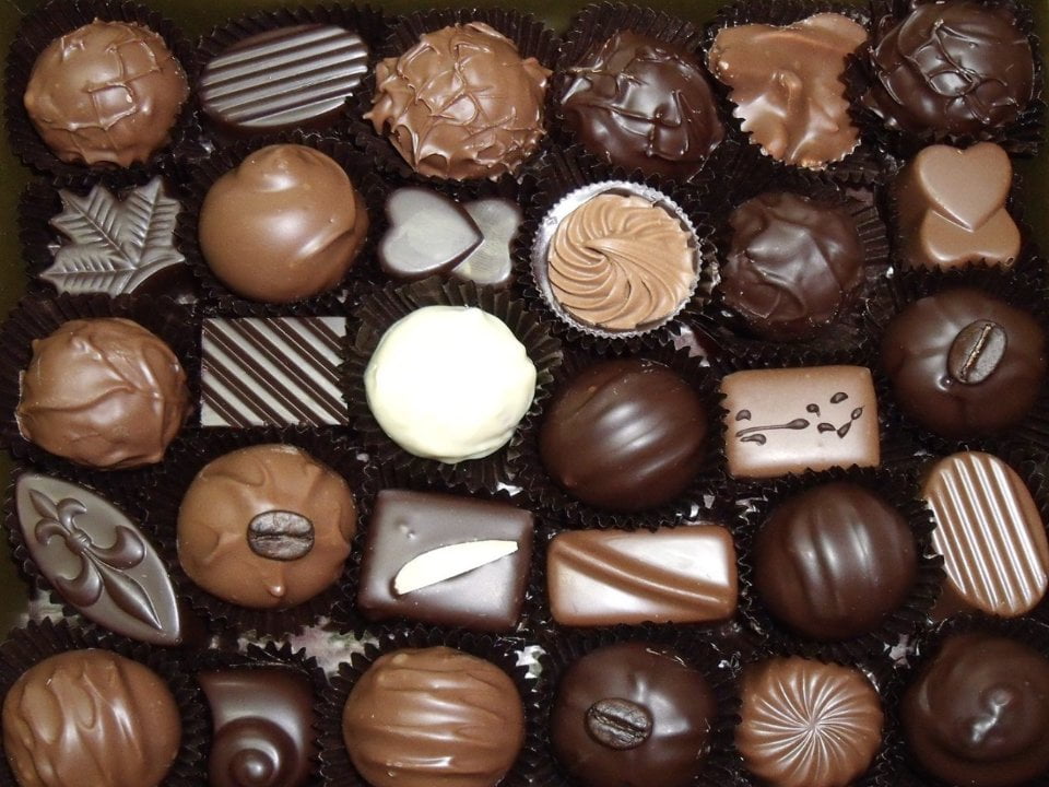 Arranged Food and Objects