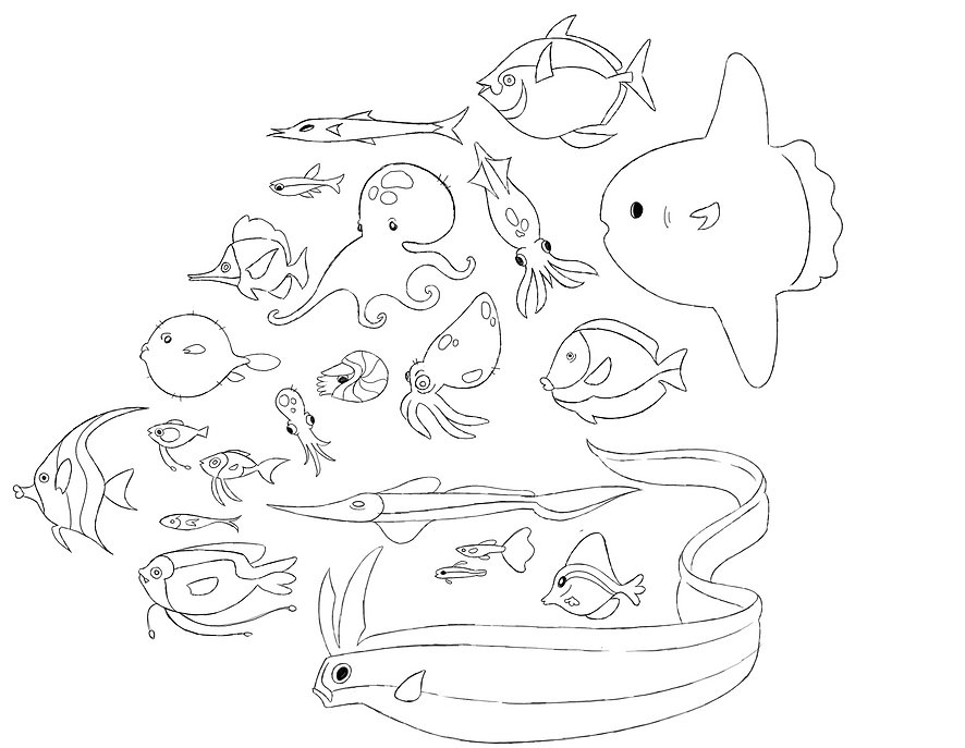 IMG_3673.png