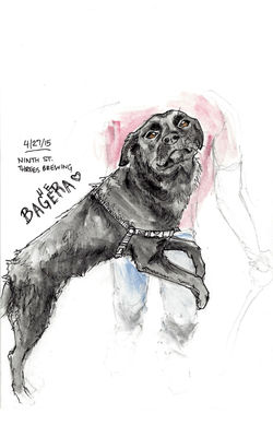 Bagheera
