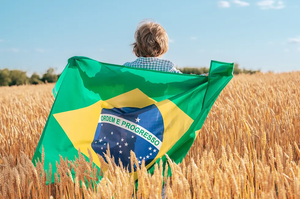 Criança segurando a bandeira do Brasil.webp