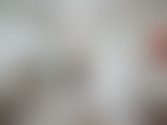 Top Wedding Venues in Lithia, Florida