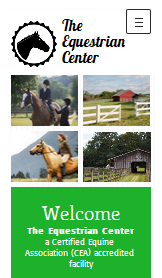 Sport & fritid hjemmesideskabeloner – Rideskole