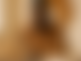 african ai looking at laptop seeking investment 