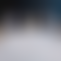 Africa delegation uae leadership