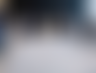 Africa delegation uae leadership 