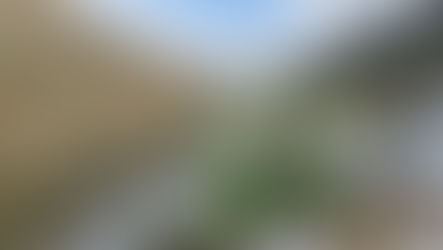 נחל כפירה - מסלול משפחתי קלאסי בהרי ירושלים