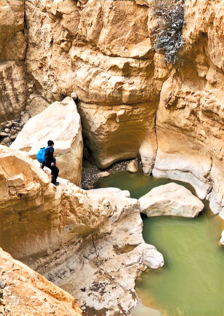 גבי מים במסלול מעגלי במדבר יהודה