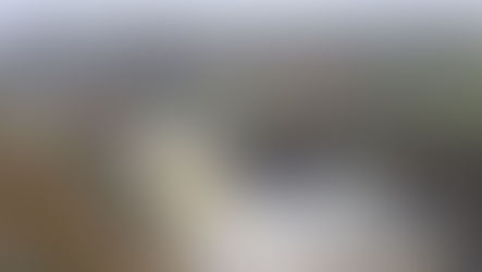 נחל עורבים - טיול חורפי ברמת הגולן