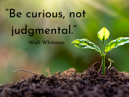 Authenticity, Trust & Curiosity: Embracing Connection